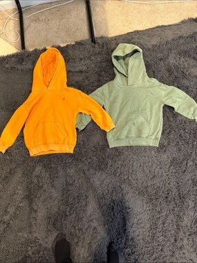 GAP Kids Hoodies in Orange and Sage